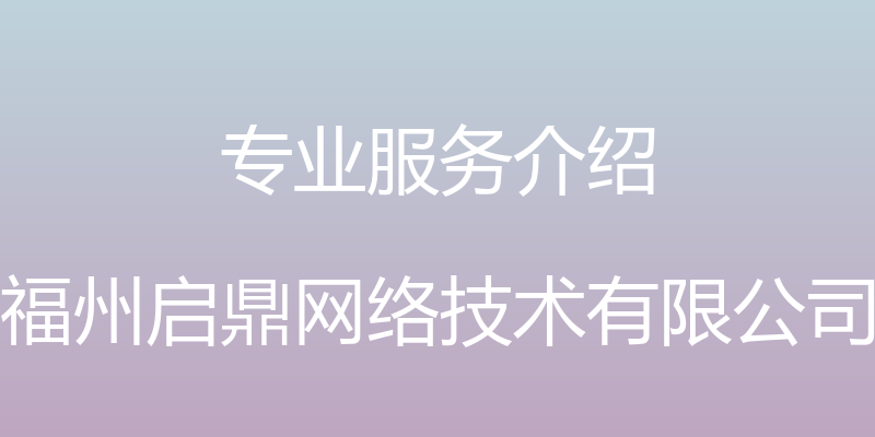 专业服务介绍 - 福州启鼎网络技术有限公司